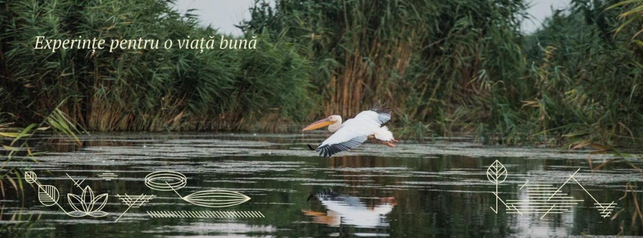 Pensiunea Nest Dunavăţu de Jos Εξωτερικό φωτογραφία